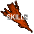 CV and Skills